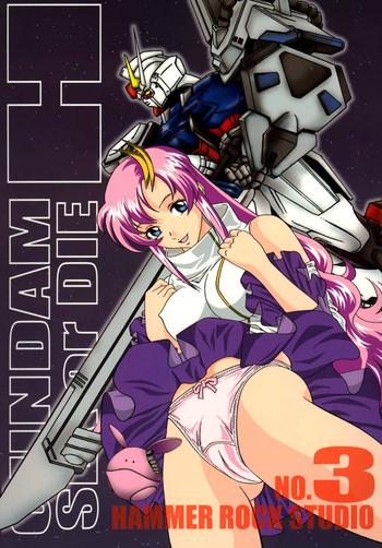 Girl On Girl Gundam-H 3- Gundam seed hentai Mediumtits