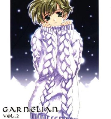 Awesome CARNELIAN vol.2  – Re·Leaf Settei Shiryou Tsudo 18yo